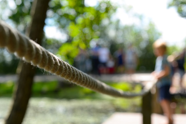 Freispielphase im Garten